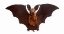 Plush Bat Doll Soft Simulation Stuffed Animal Collection Toys Bat with  Wings Christmas Gift for Boys Girls Kids 27*9"|toy bat|stuffed animal  toysanimal toys - AliExpress